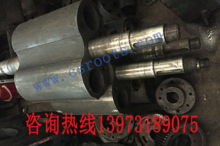 ARMG-300罗茨鼓风机 双叶轴
